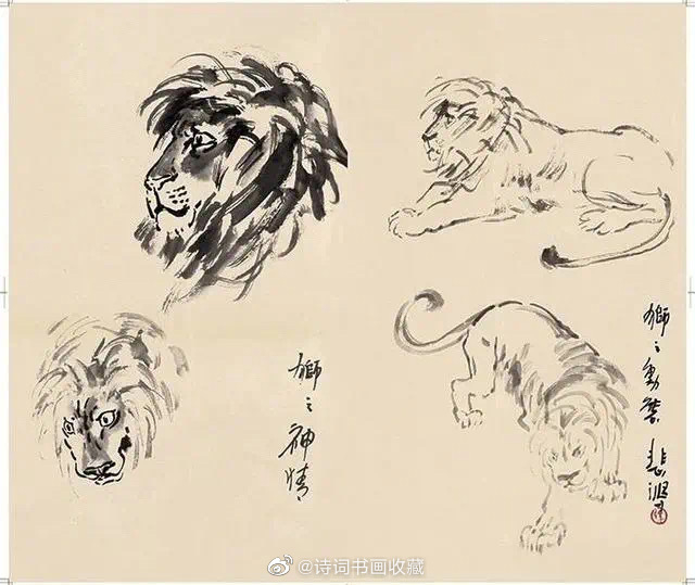徐悲鴻風の「獅子図」 徐悲鸿字画作品徐悲鸿书画狮子_北京琉璃厂字画网