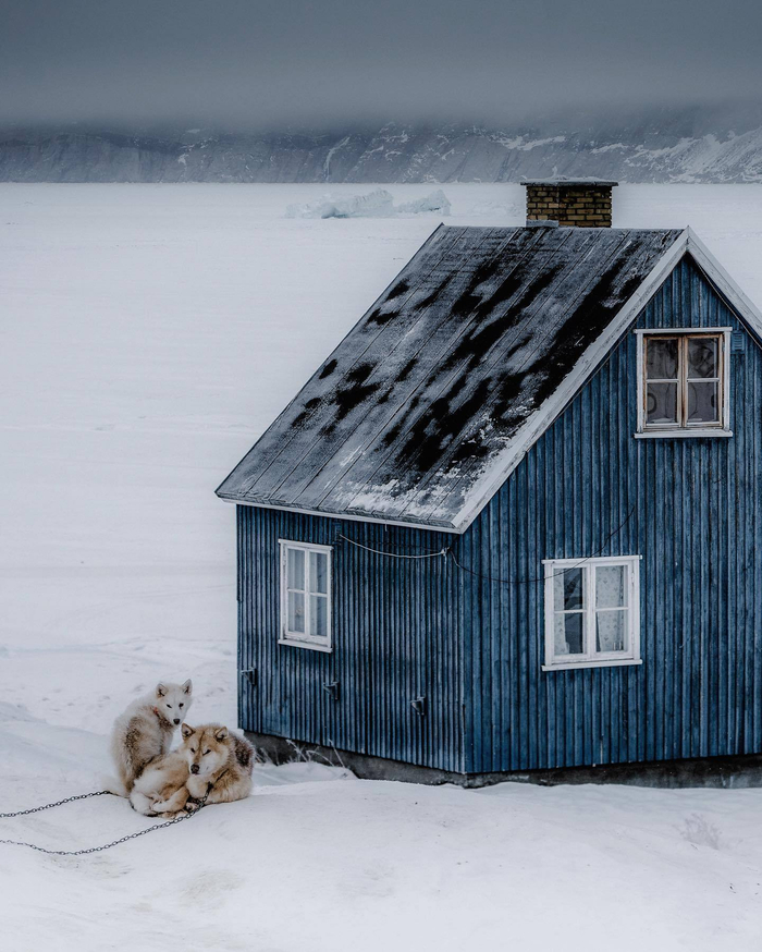 格陵兰的冬天 摄影师jason charles hill