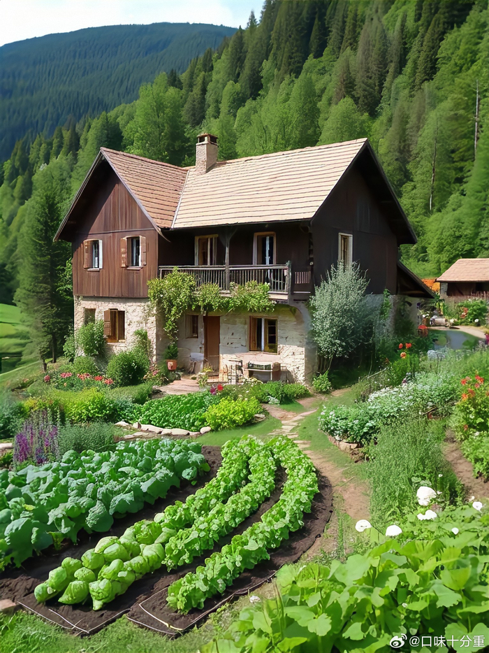 向往的田园宁静生活