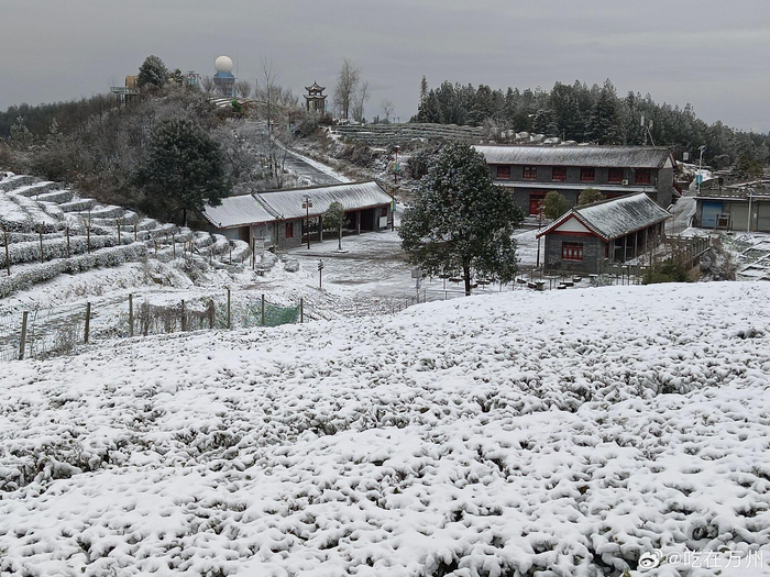 万州区太安镇区迎来龙年首场降雪