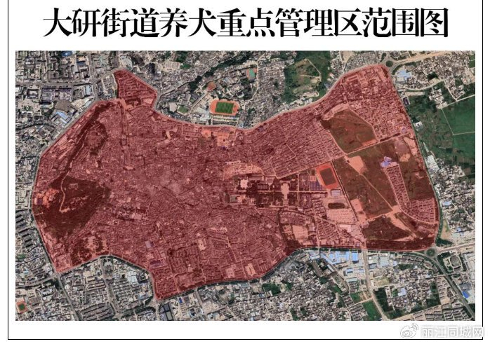 古城区大研街道就划定养犬重点管理区向社会公开征集意见建议