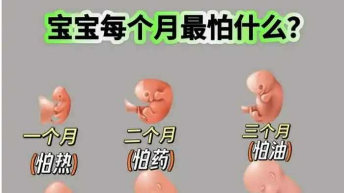 产科医生不会细讲，但准妈妈必须懂，胎儿大脑发育的“睡眠秘籍”