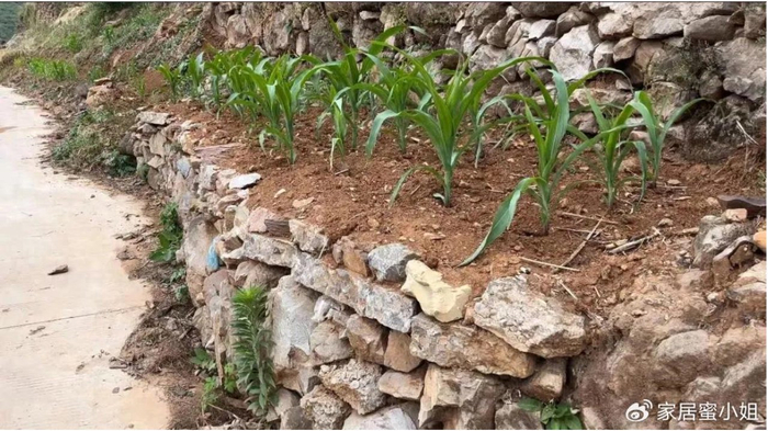 以前村民因为一块地，争得面红耳赤，为什么现在却撂荒无人问了？