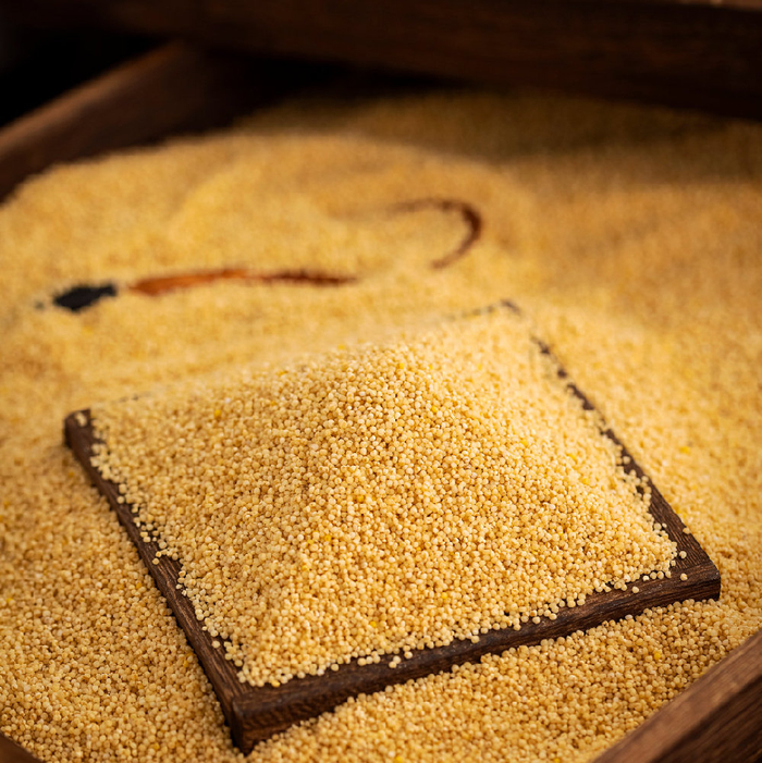 "春种一粒粟"的"粟"竟是狗尾巴草?|中国_新浪新闻