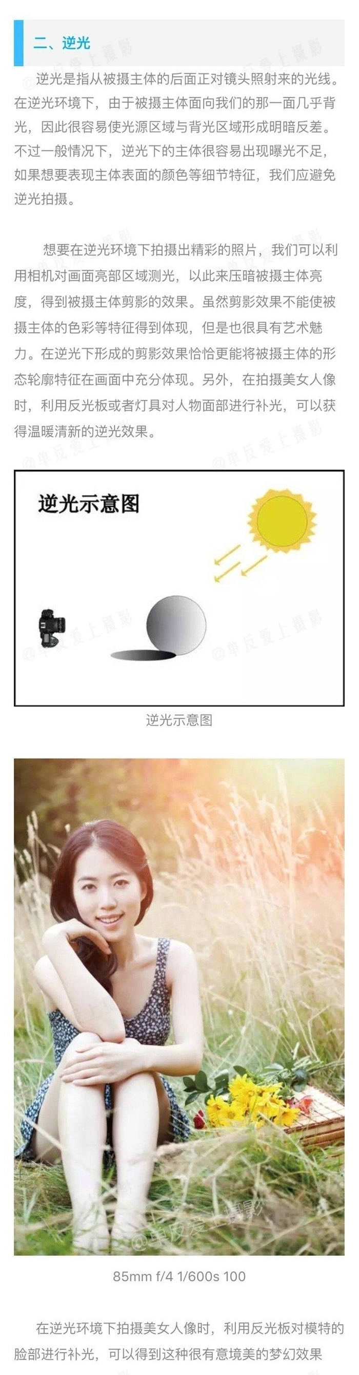 摄影总是说的顺光、逆光、侧光等光位在摄影中如何应用