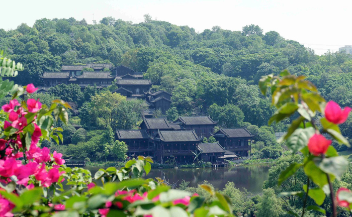 重庆渝北区园博园的初夏时光