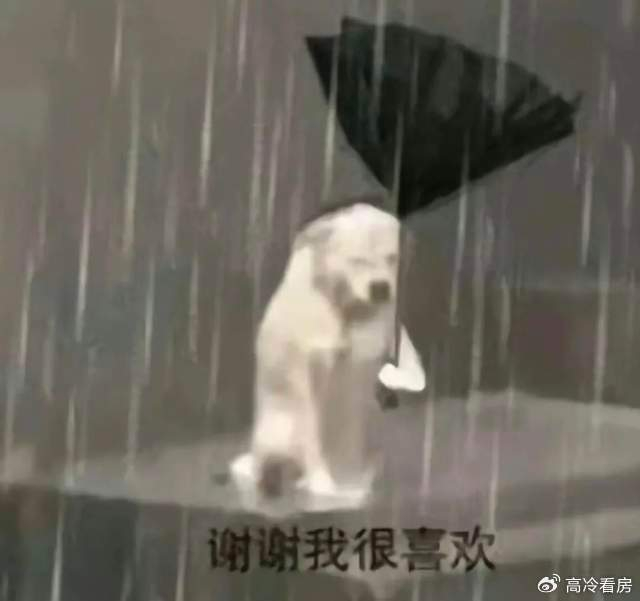 100万出头总预算莫心酸,进来吃点好的|龙泉|新希望|总价_新浪新闻