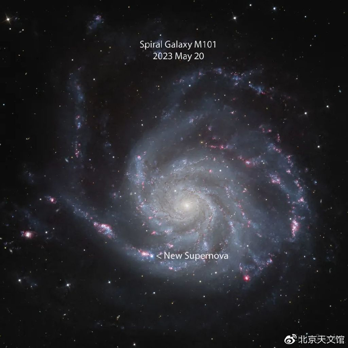 每日天文一图 | 在近邻旋涡星系M101中发现的超新星