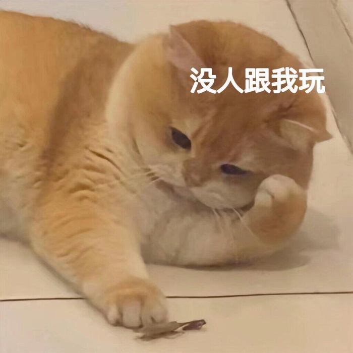 糊糊小猫表情包