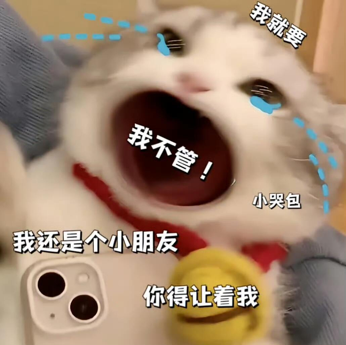 𝙎𝙝𝙖𝙧𝙚 🟤 太有实力了,拥有这组表情包__财经头条__新浪财经