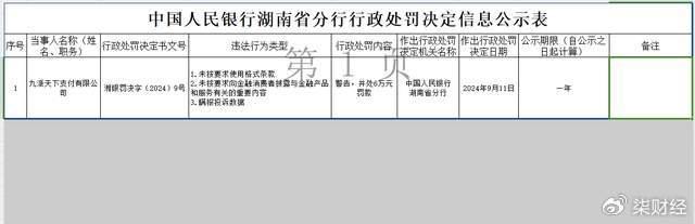 涉瞒报投诉数据等，九派天下支付被罚