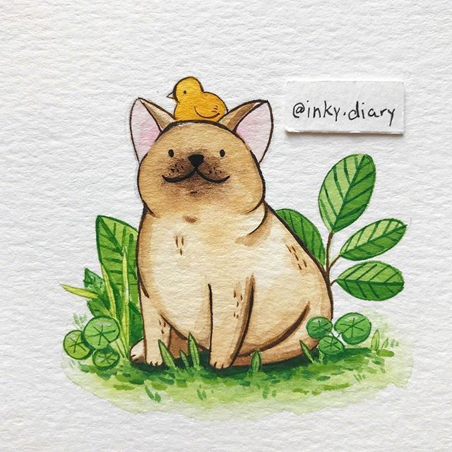 来自 inky.diary 可爱水彩小动物插画
