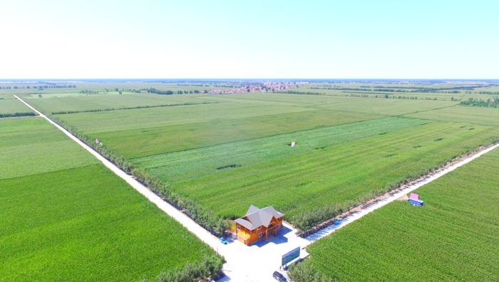 科左中旗实施高标准农田建设 助力春耕生产|内蒙古自治区|科左中旗|粮