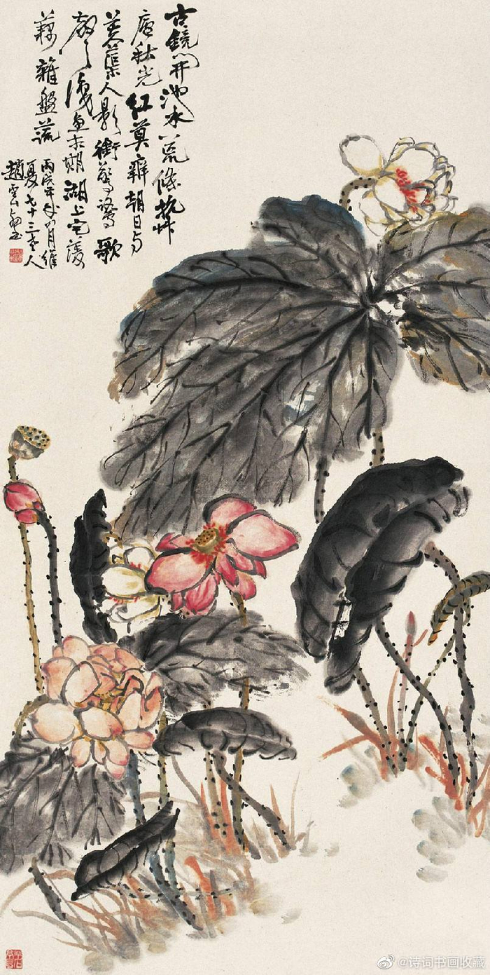 赵云壑花鸟作品欣赏|吴昌硕|赵云|草堂