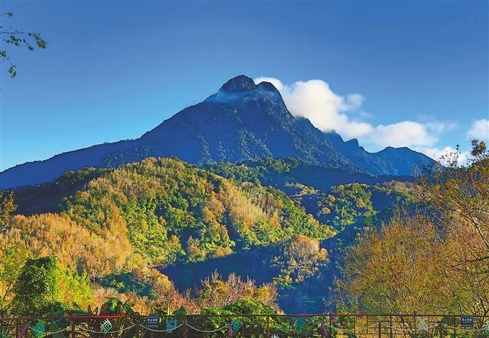 进来涨知识→|海南省|五指山市_新浪新闻