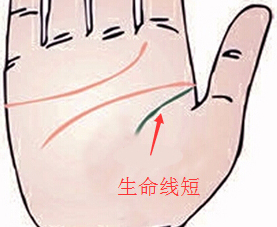 手中的生命线代表了哪些含义