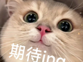 刘德华、孙燕姿双双官宣广州开唱！网友：必须冲！
