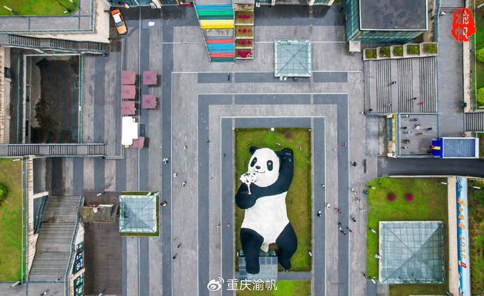 晚上我们入住的酒店叫熊猫驿站,是一个熊猫主题酒店,不仅名字带有熊猫