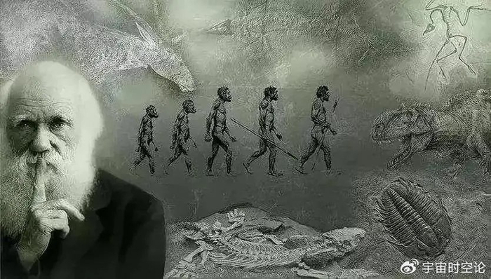 为何有人相信没证据的神创论,不愿相信有大量证据的论