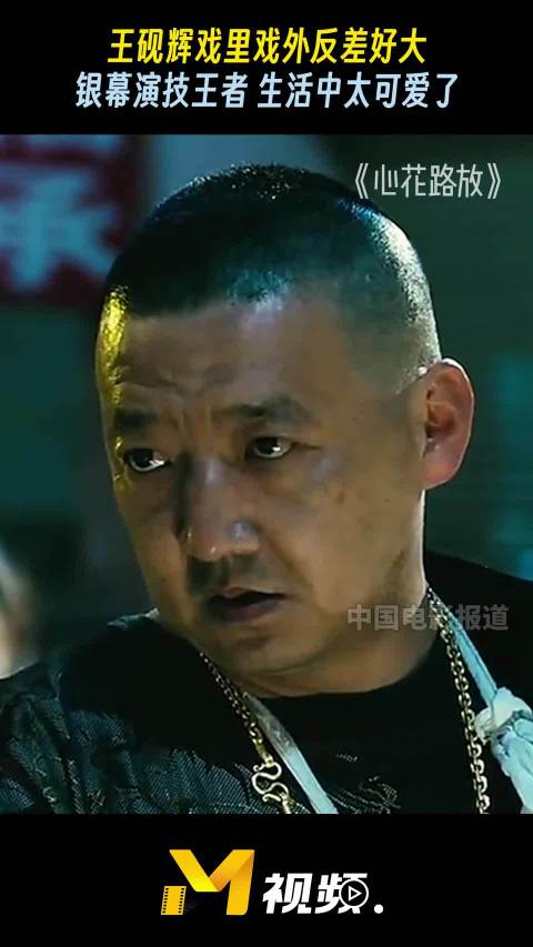 王砚辉戏里戏外反差好大 银幕演技王者 生活中太可爱了