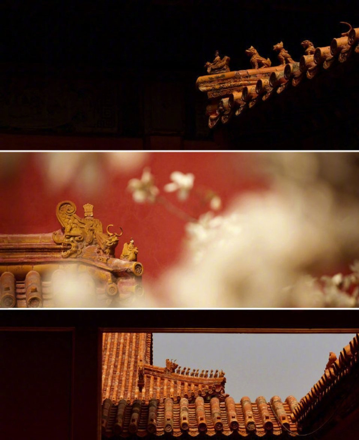 『红墙、黄瓦、青砖、屋檐、角楼、雕梁、画壁、云龙、翔凤、狮子、华