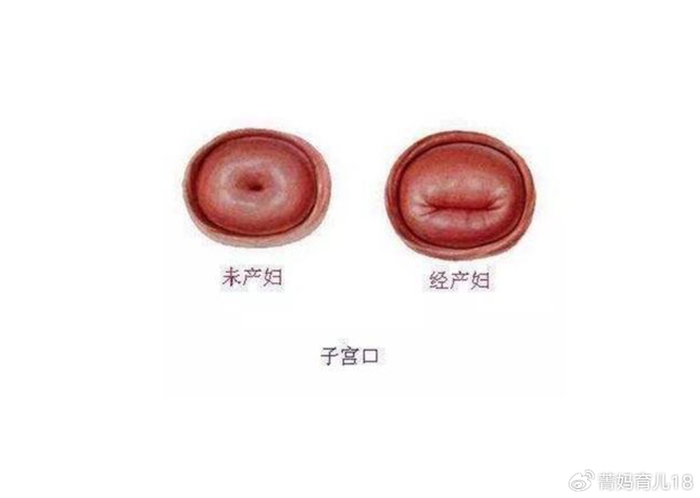 那照b超的时候生过孩子之后子宫会比较大,没生过孩子的子宫会比较小