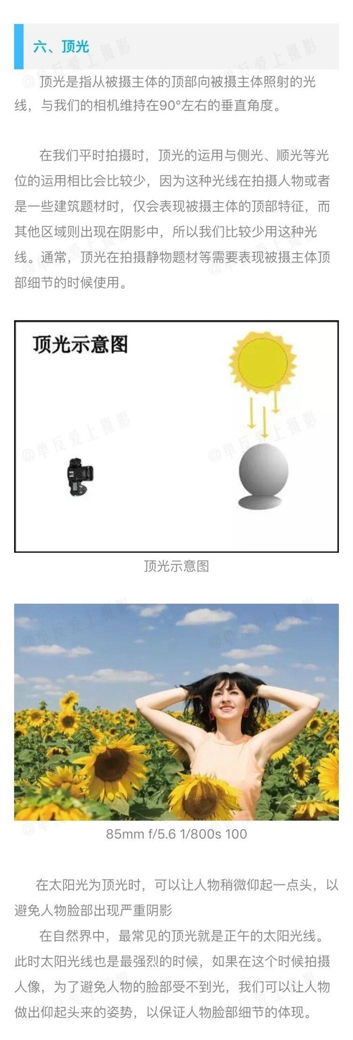 摄影总是说的顺光、逆光、侧光等光位在摄影中如何应用