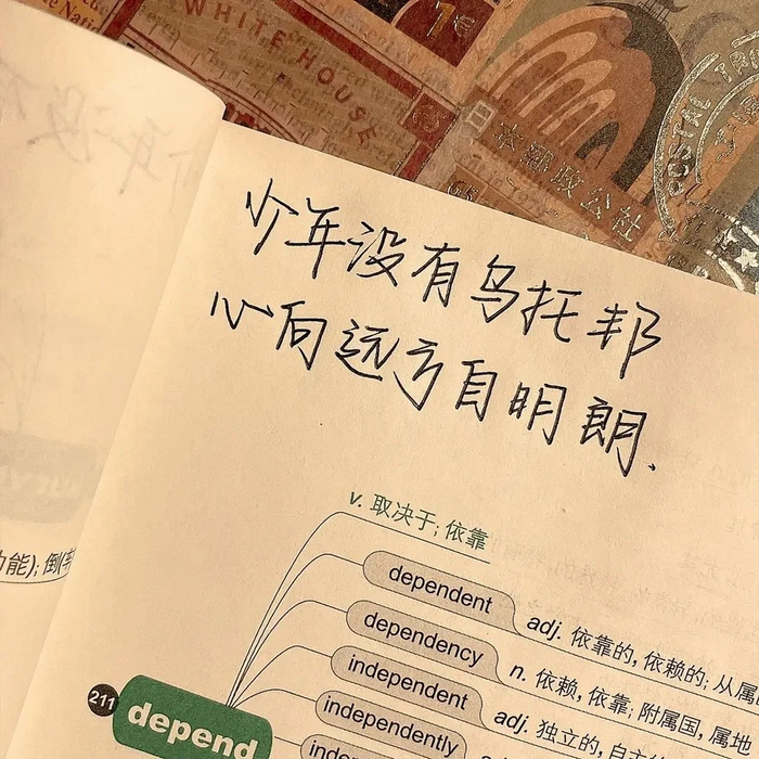 不要把幸福寄托在别人身上,这或许很难,但是一定要明白……__财经头条__新浪财经
