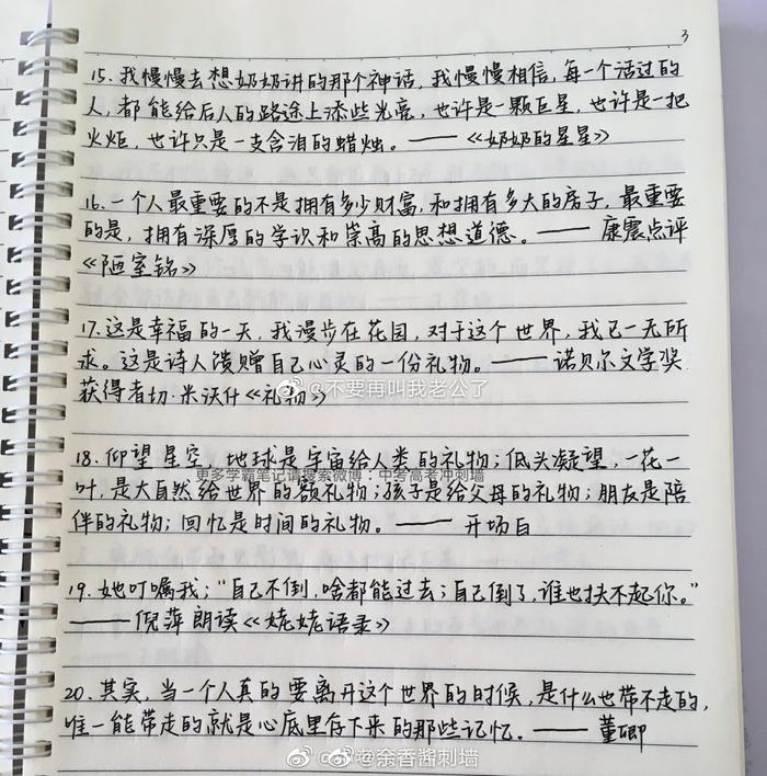 董卿神仙作文素材图片