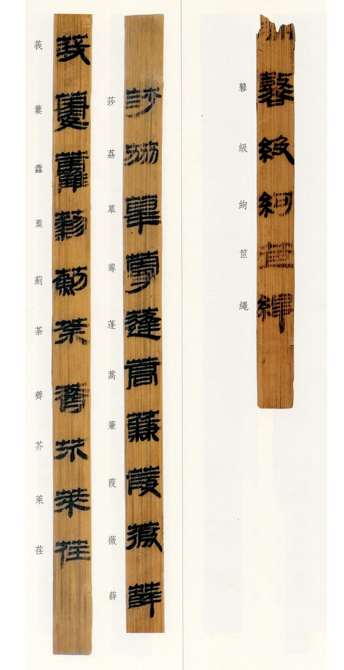 仓颉篇丨北京大学藏西汉竹书