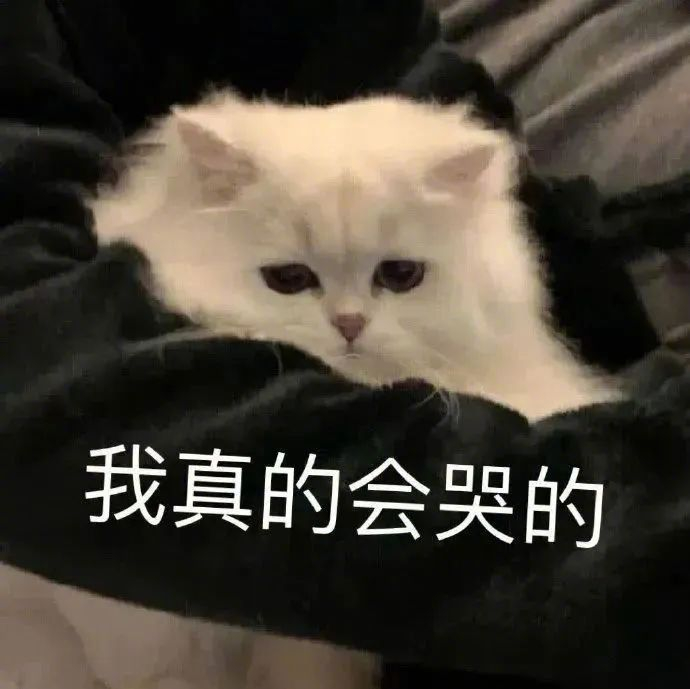 表情大放送,不容错过!