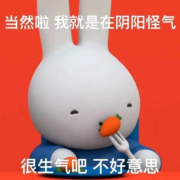 来丰富一下有趣好玩的表情包