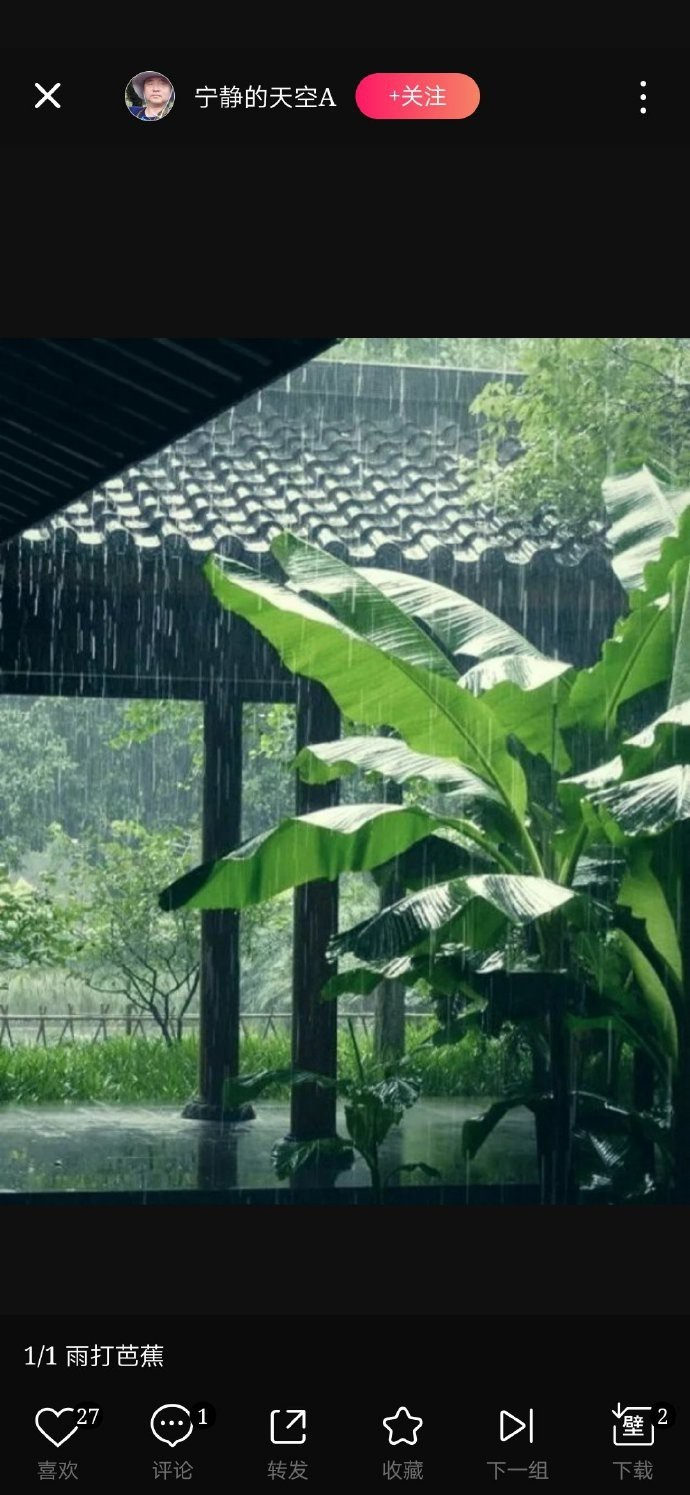 雨打芭蕉