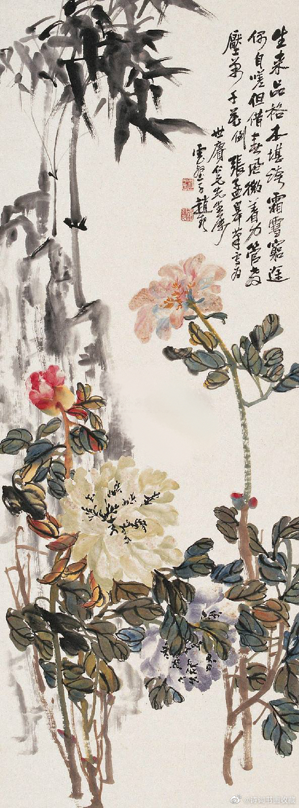 赵云壑花鸟作品欣赏|吴昌硕|赵云|草堂