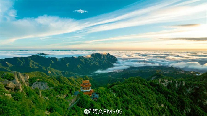 绿叶葱茏,山花烂漫,初夏洛阳的山水真美呀!