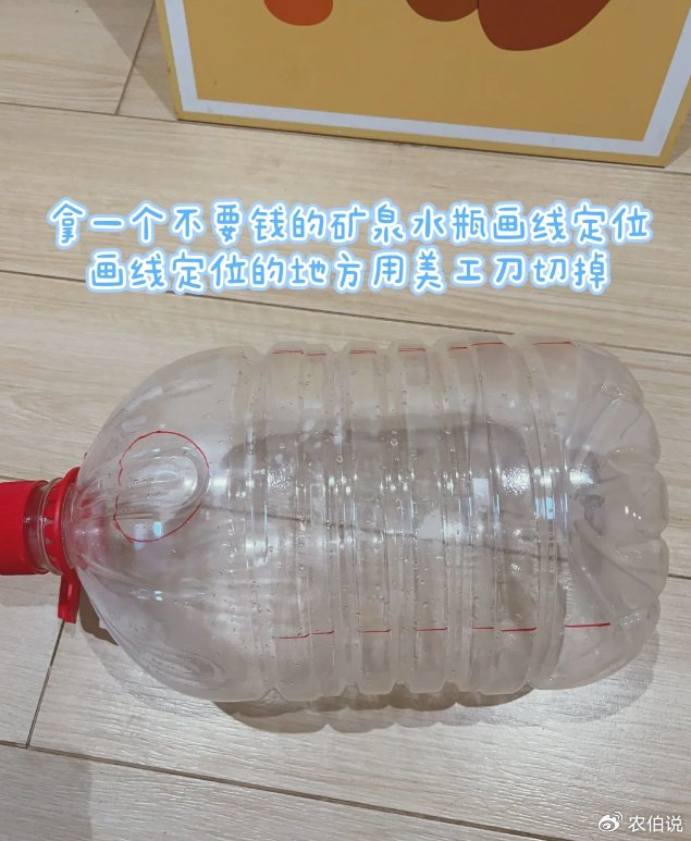 菏泽一中学生,拿废弃的矿泉水桶,自制生态鱼缸,老师:活学活用