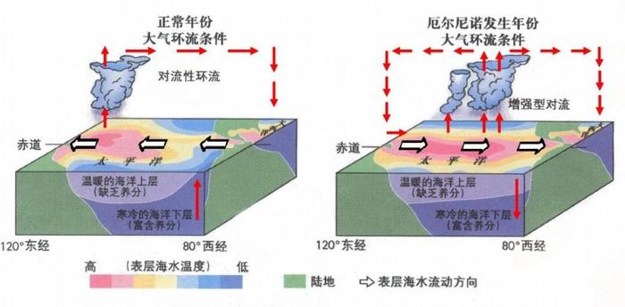 厄尔尼诺:很复杂