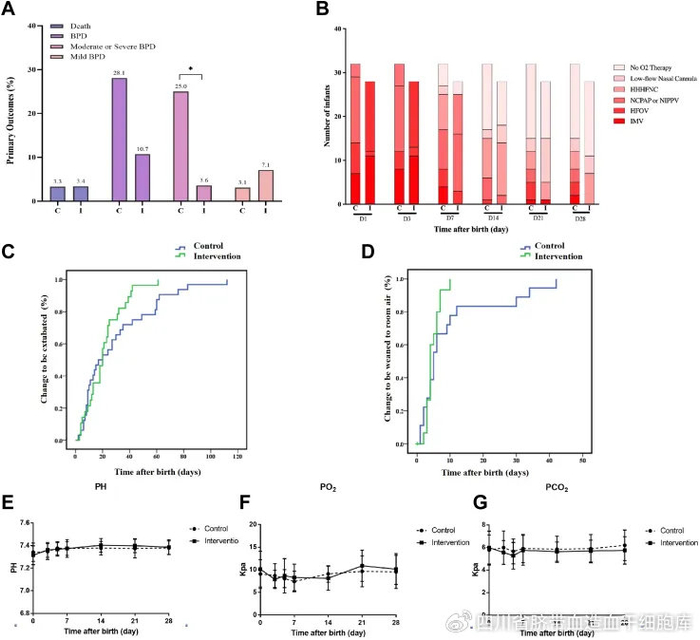 早产儿面临最严重的并发症:支气管肺发育不良,脐带血发挥重要作用!