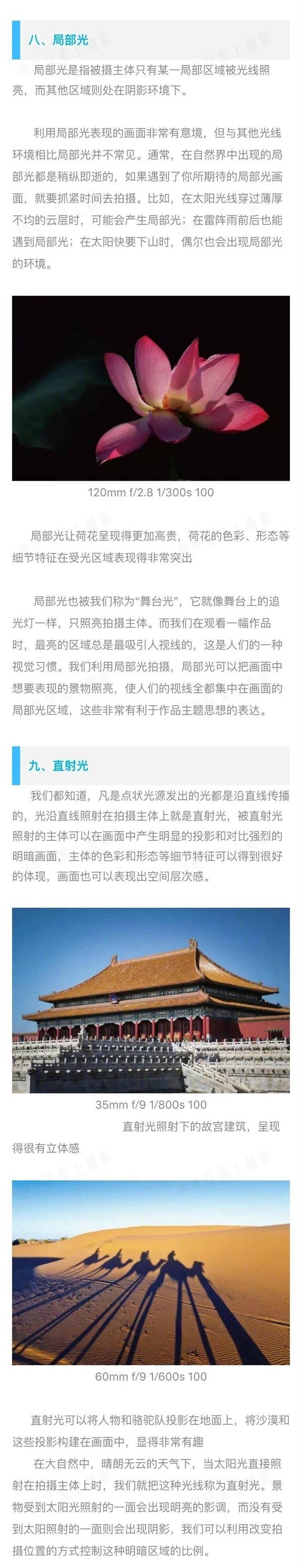 摄影总是说的顺光、逆光、侧光等光位在摄影中如何应用