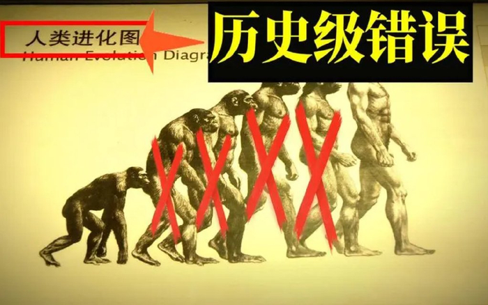 深度长文:人类是猿进化来的,为什么再也没有别的猿进化成人类?