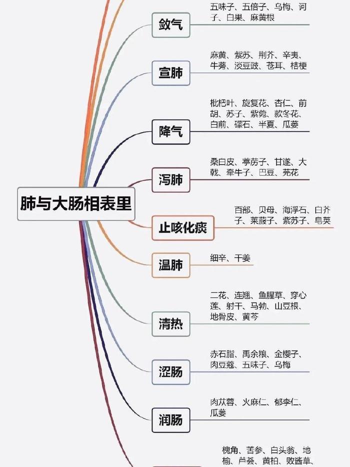 中医五脏六腑之间的关系