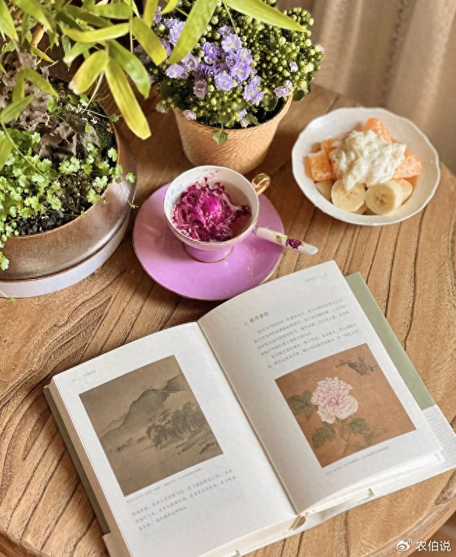 这3种花不喜欢晒太阳,否则半天就黄叶,别挑战__财经头条