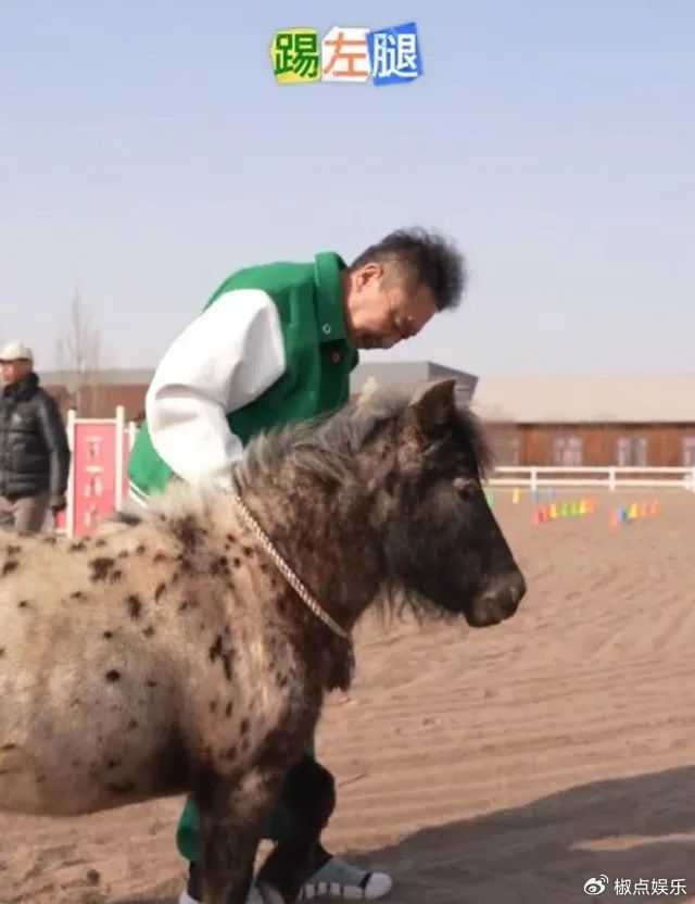 状态令人担忧,55岁竟如70岁老大爷般苍老|于谦|马场|老大爷_新浪新闻