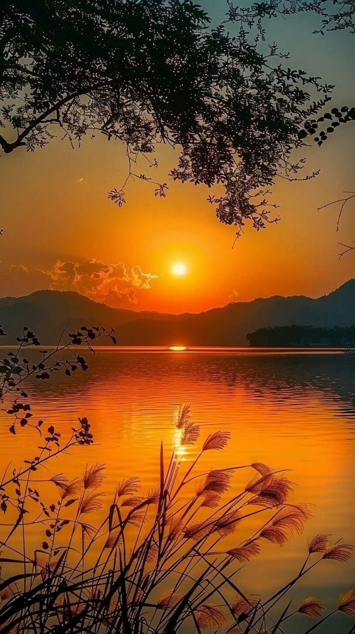 但得夕阳无限好,何须惆怅近黄昏
