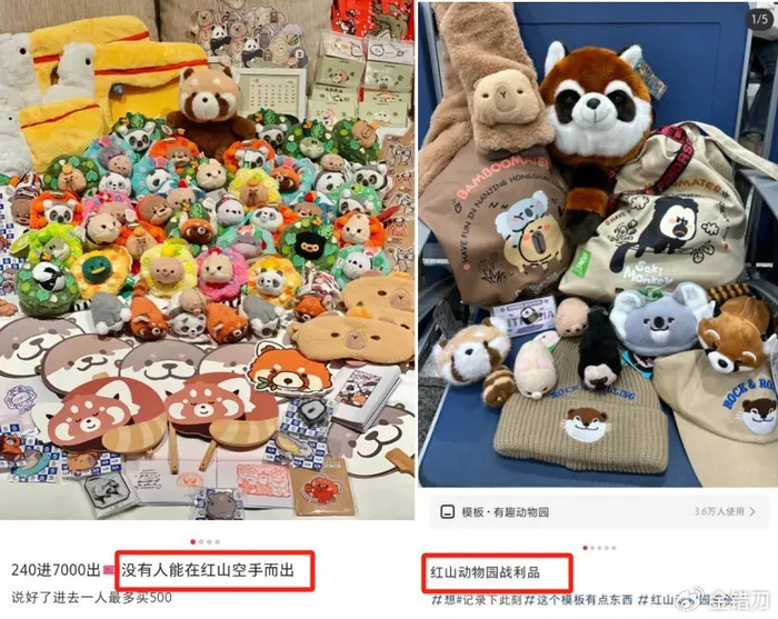 中国穷鬼乐园,终于开窍了|迪士尼|红山动物园|动物园_新浪新闻