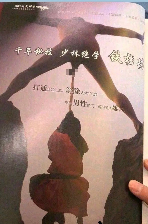 搜罗了一圈后,发现能足以跟张财强媲美的,也就只有看起差不多的少林铁