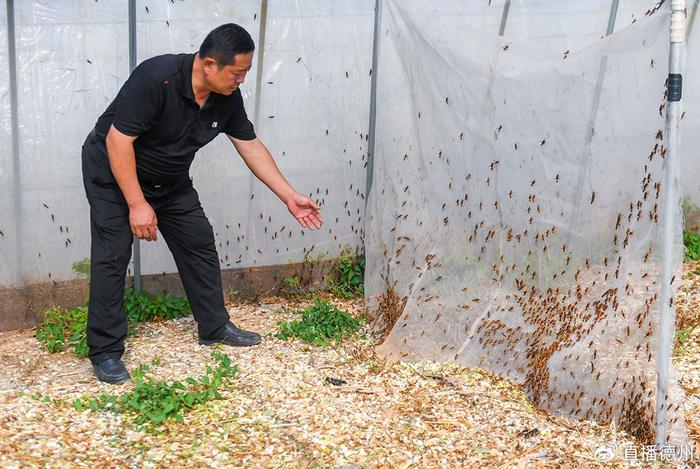 德州市慶雲縣金秋金鏡頭蟹肥魚美正當時