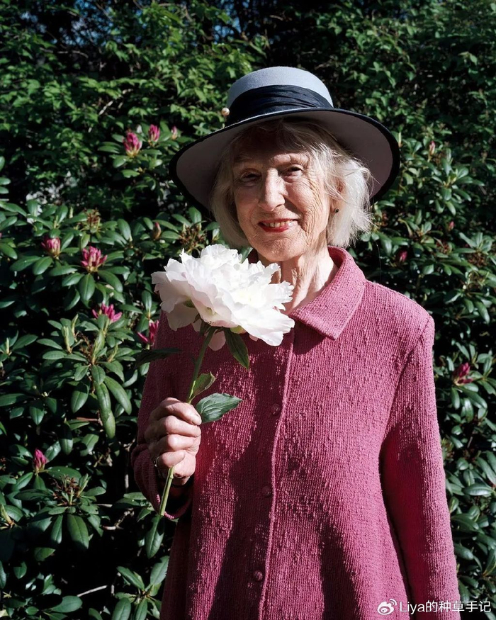 74岁"不老女神"王薇薇最新素颜照长这样|伊娃|王薇薇|素颜_新浪新闻