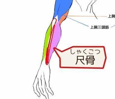 怎么画动漫人物的手臂图片