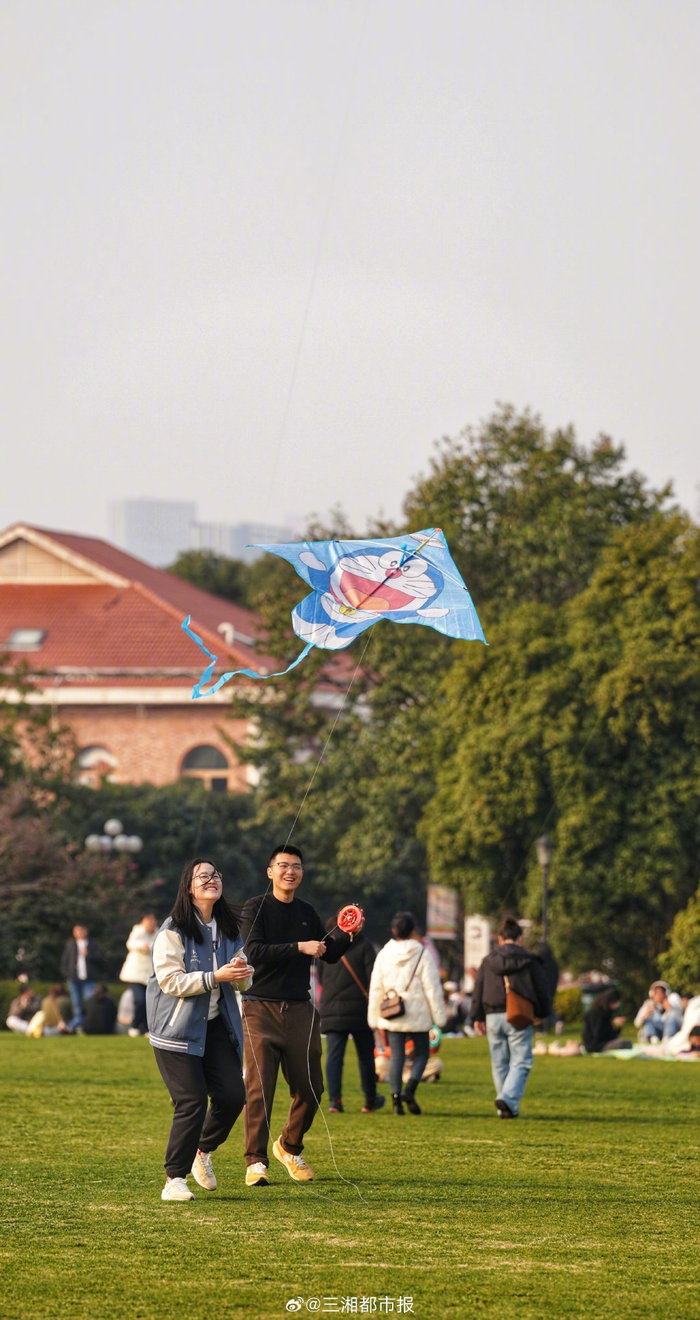 图集忙趁东风放纸鸢